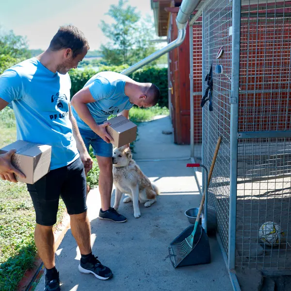 Menhelyi kutyák a Kira Völgységi Kutyamentő Egyesületnél